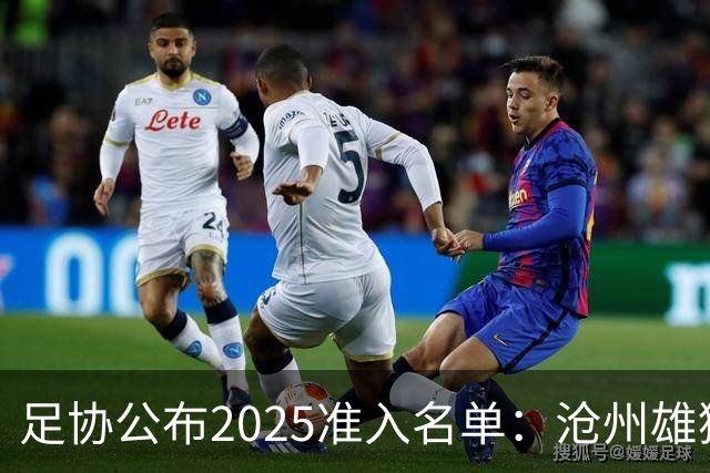 足协公布2025准入名单：沧州雄狮、广州队无缘